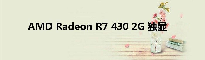 AMD Radeon R7 430 2G 独显
