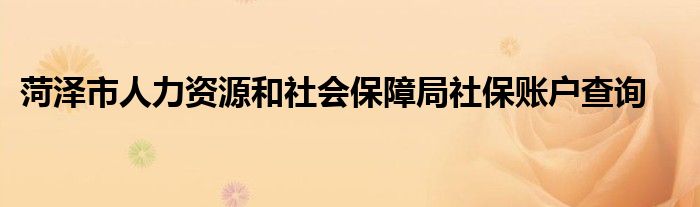 菏泽市人力资源和社会保障局社保账户查询