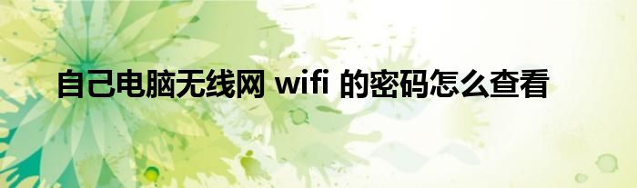 自己电脑无线网 wifi 的密码怎么查看