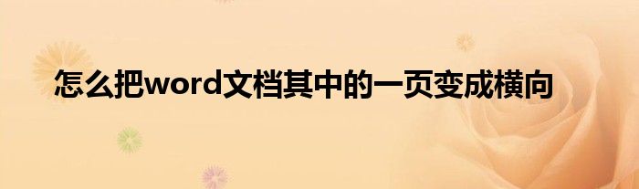 怎么把word文档其中的一页变成横向