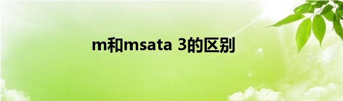 m和msata 3的区别