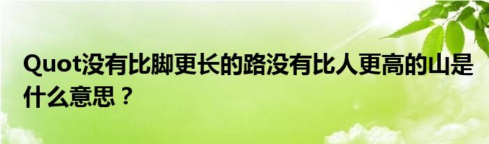 Quot没有比脚更长的路没有比人更高的山是什么意思？