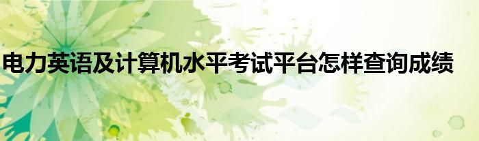电力英语及计算机水平考试平台怎样查询成绩