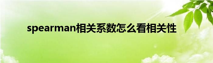 spearman相关系数怎么看相关性