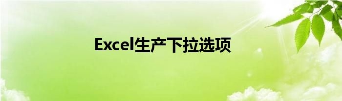 Excel生产下拉选项