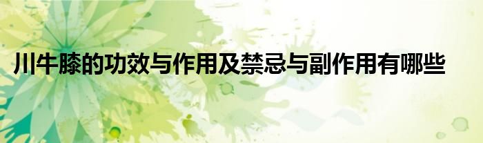 川牛膝的功效与作用及禁忌与副作用有哪些