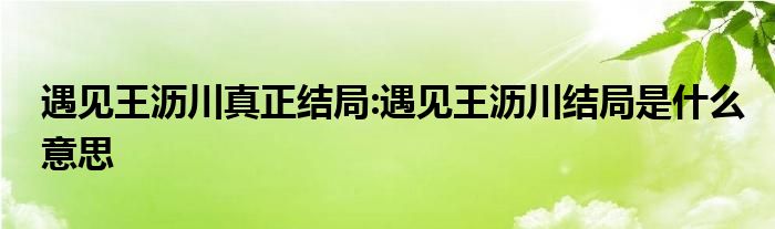 遇见王沥川真正结局:遇见王沥川结局是什么意思