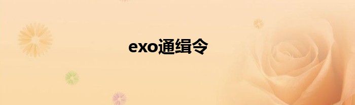exo通缉令