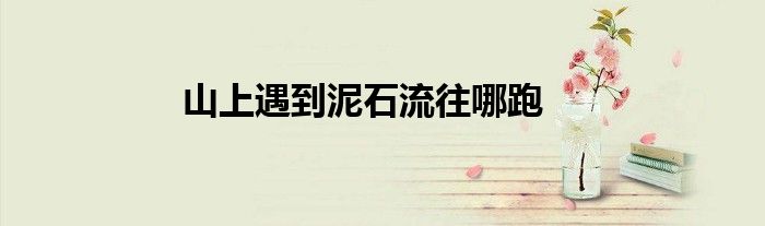 山上遇到泥石流往哪跑