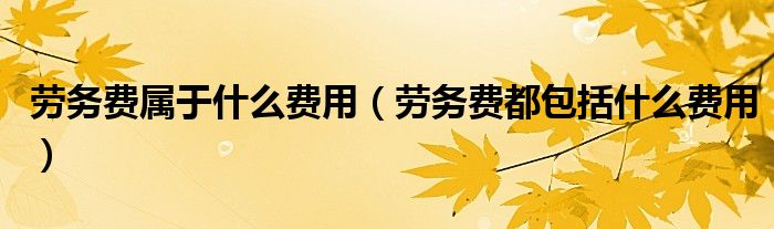 劳务费属于什么费用（劳务费都包括什么费用）
