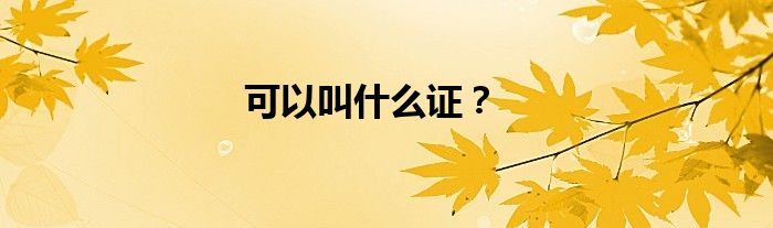 可以叫什么证？
