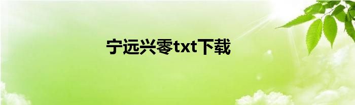 宁远兴零txt下载
