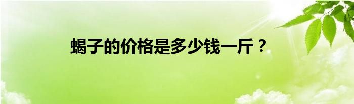 蝎子的价格是多少钱一斤？