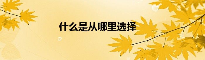 什么是从哪里选择