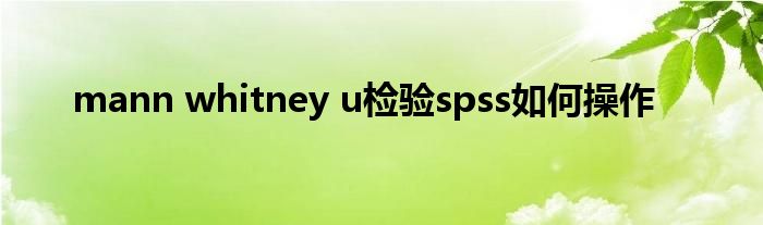mann whitney u检验spss如何操作