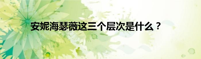 安妮海瑟薇这三个层次是什么？
