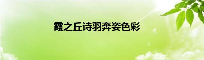 霞之丘诗羽奔姿色彩