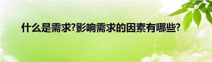 什么是需求?影响需求的因素有哪些?