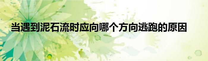 当遇到泥石流时应向哪个方向逃跑的原因