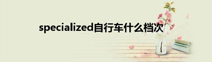 specialized自行车什么档次