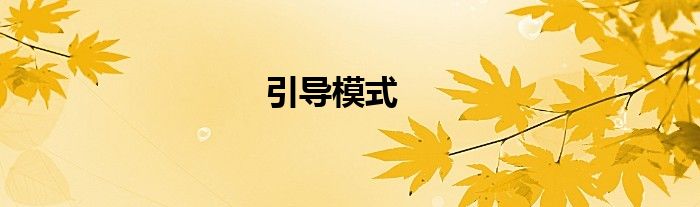 引导模式