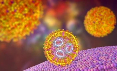 针对 HIV Lassa 和 SARS-CoV-2 变体的强效超价纳米粒子