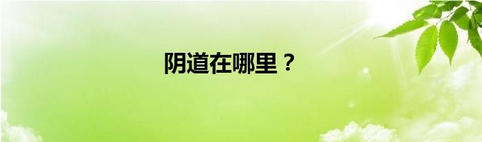 阴道在哪里？