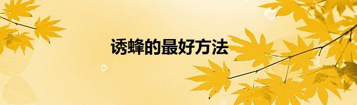 诱蜂的最好方法
