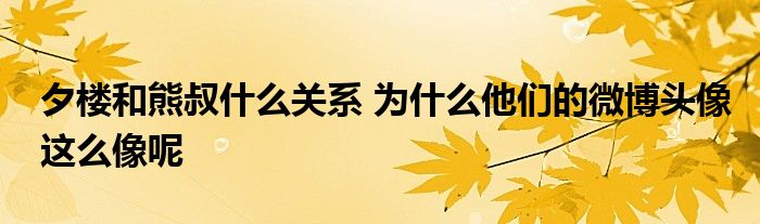夕楼和熊叔什么关系 为什么他们的微博头像这么像呢