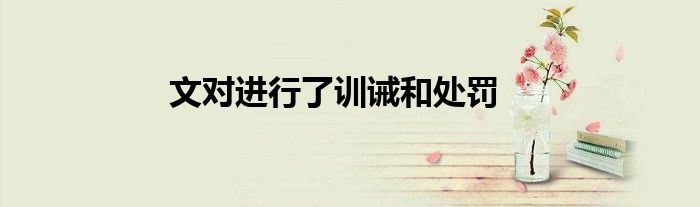 文对进行了训诫和处罚