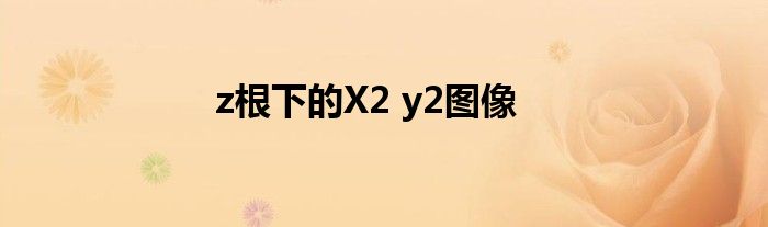 z根下的X2 y2图像
