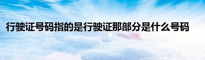 行驶证号码指的是行驶证那部分是什么号码