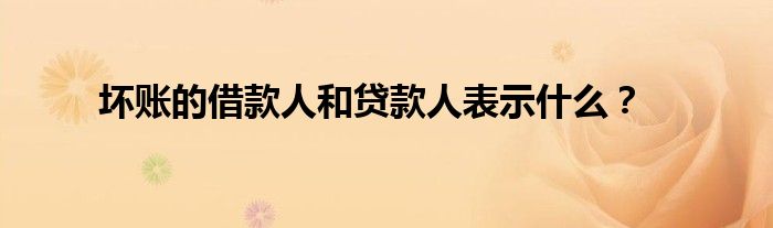 坏账的借款人和贷款人表示什么？