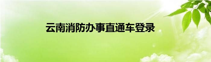 云南消防办事直通车登录
