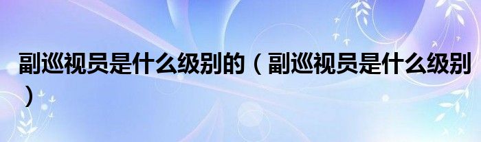 副巡视员是什么级别的（副巡视员是什么级别）
