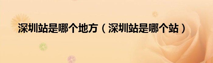 深圳站是哪个地方（深圳站是哪个站）