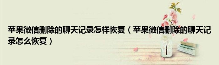 苹果微信删除的聊天记录怎样恢复（苹果微信删除的聊天记录怎么恢复）
