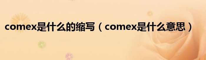 comex是什么的缩写（comex是什么意思）
