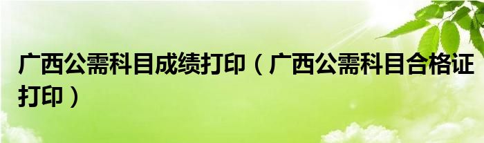 广西公需科目成绩打印（广西公需科目合格证打印）