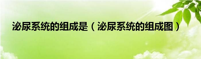 泌尿系统的组成是（泌尿系统的组成图）