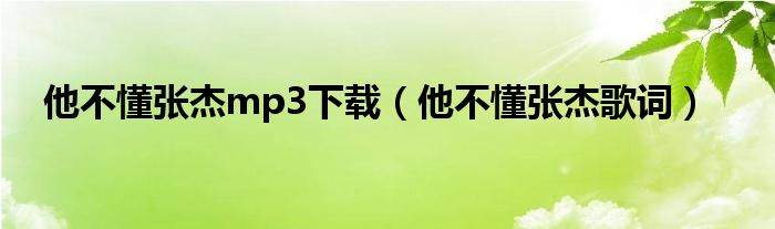 他不懂张杰mp3下载（他不懂张杰歌词）