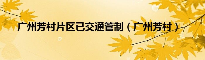 广州芳村片区已交通管制（广州芳村）