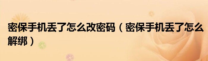 密保手机丢了怎么改密码（密保手机丢了怎么解绑）