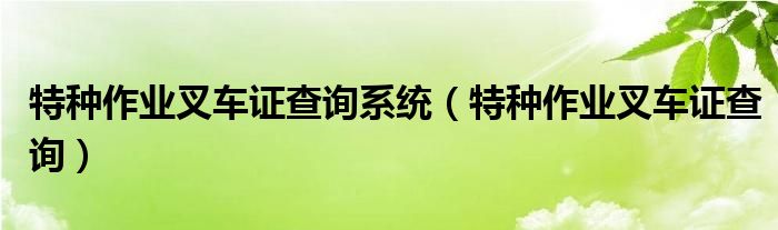 特种作业叉车证查询系统（特种作业叉车证查询）