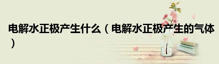 电解水正极产生什么（电解水正极产生的气体）