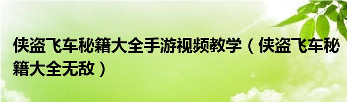 侠盗飞车秘籍大全手游视频教学（侠盗飞车秘籍大全无敌）