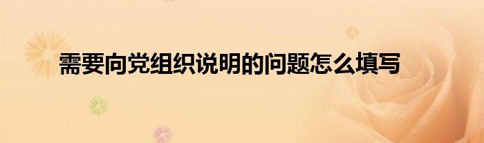 需要向党组织说明的问题怎么填写