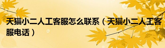 天猫小二人工客服怎么联系（天猫小二人工客服电话）