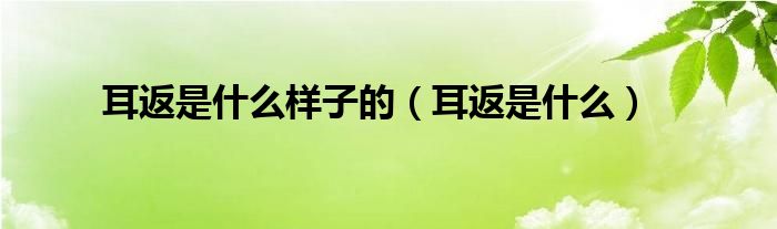 耳返是什么样子的（耳返是什么）