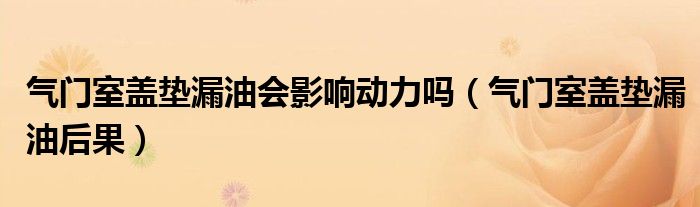 气门室盖垫漏油会影响动力吗（气门室盖垫漏油后果）